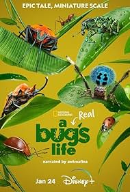 A Real Bug's Life (2024)