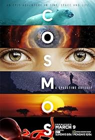Cosmos: A Spacetime Odyssey (2014)