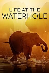 Life at the Waterhole (2021)