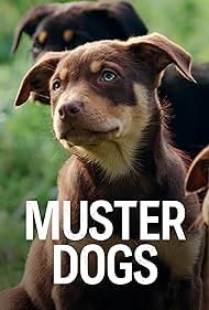 Muster Dogs (2022)