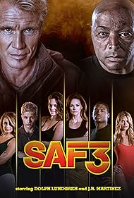 SAF3 (2013)